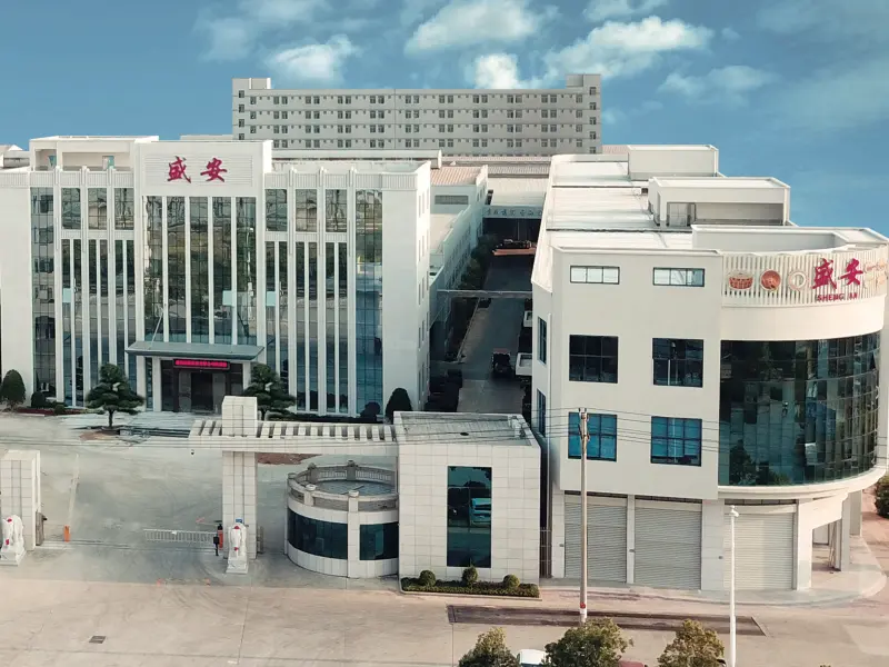 shengan video cover